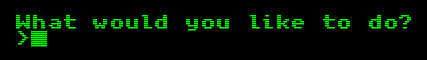 "What would you like to do?" written in the style of an old computer text adventure game, green letters on black background.